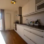 Apartment Panorama - Steinbock *