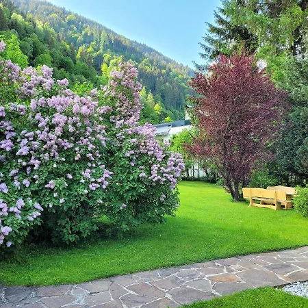 Panorama - Steinbock