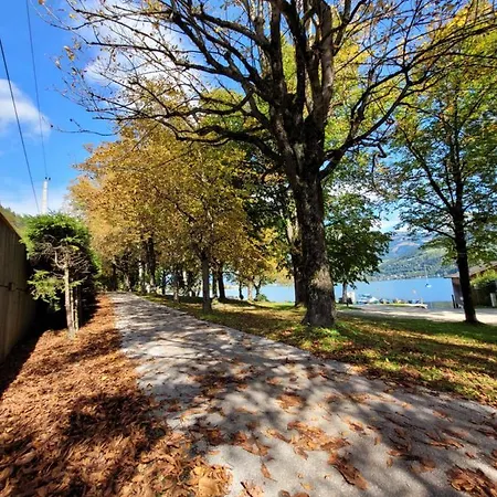 Apartment Panorama - Steinbock *