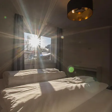 Panorama - Steinbock