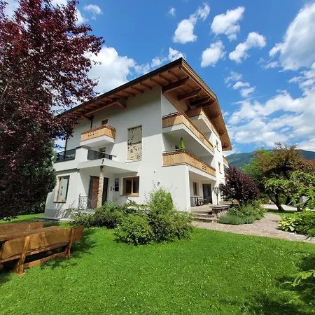 Panorama - Steinbock