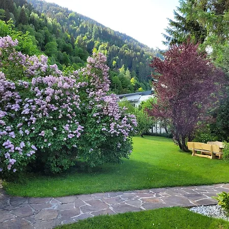 Apartman Panorama - Steinbock *