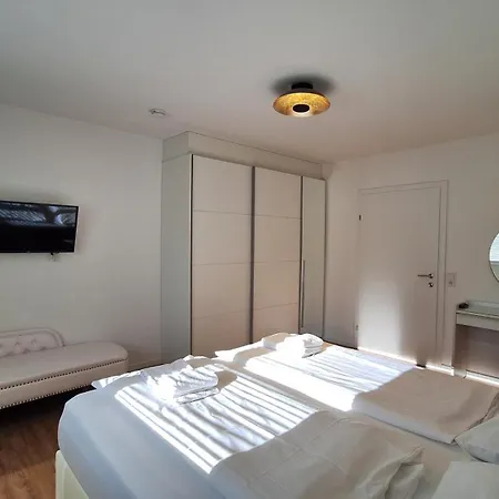 Panorama - Steinbock * Zell am See