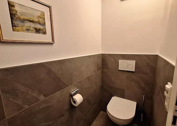 Panorama - Steinbock Zell am See