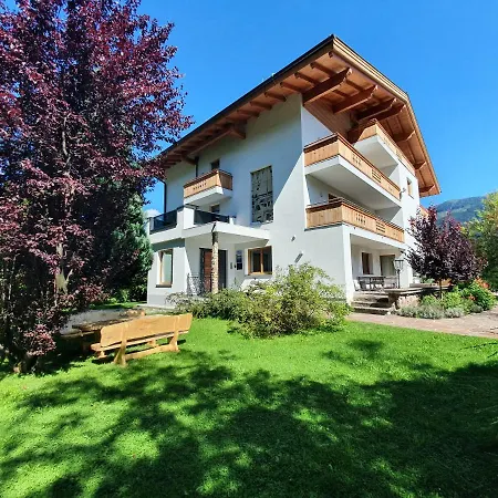 Panorama - Steinbock