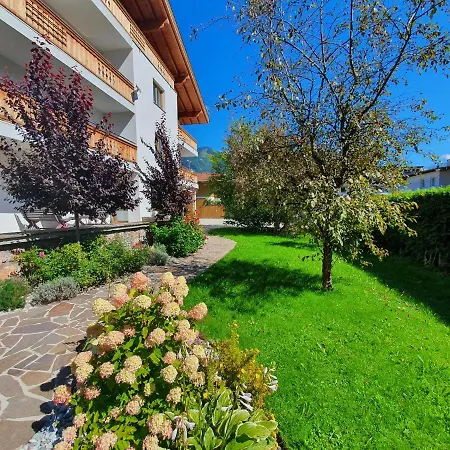 Panorama - Steinbock *