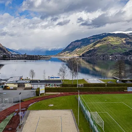 Panorama - Steinbock *