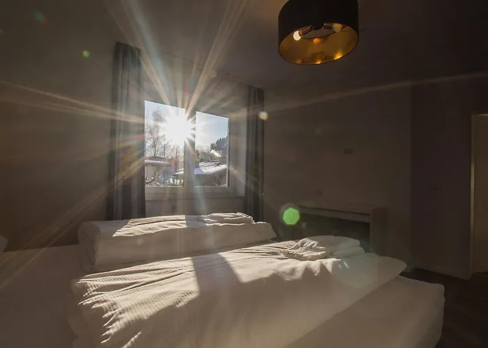 Panorama - Steinbock