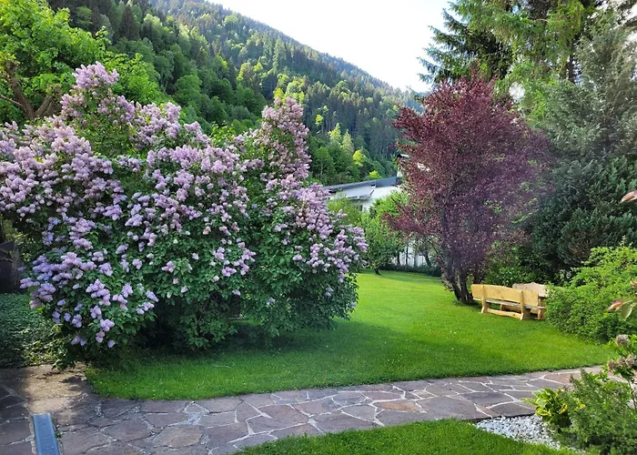 Appartement Panorama - Steinbock *